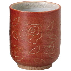 yz Z[ }T䓩 @q ̂    6.6×7.8cm(170cc) 497-20-013