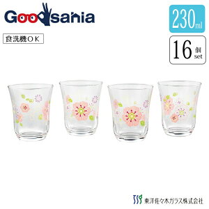 yz yP[X̔z mX؃KX ^u[OX Zbg fR[C t[sN { H@Ή sN 230ml G310-T294 4Zbg×16 Ɩp