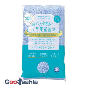 yz oX^IƐ錾 y LpXu[ oX^I z 33×100cm { {^I(  TCY OtFCX^I oX^I ^I _炩 z ӂӂ )