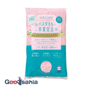 yz oX^IƐ錾 y TNsN oX^I z 33×100cm { {^I(   TCY OtFCX^I oX^I ^I _炩 z ӂ