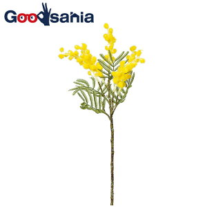 yz AXJ  ~U sbN CG[ S37cm [9cm A-34301-010 i  t[AWg A {   Be m  CG[ j