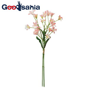 yz AXJ  ~j Xv[ o` CbN S30cm Ԍa2`3cm A-34375-017 1(3{g) i k t[AWg  {   t j