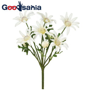 yz AXJ  tlt[ ubV ڂ zCg S22cm Ԍa7cm A-34382-001 i k t[AWg A {    zCg j