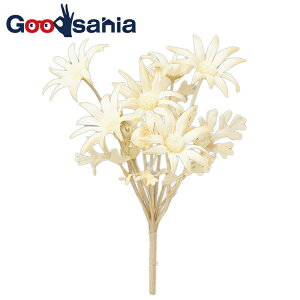 yz AXJ  tlt[ ubV ڂ x[W S23cm Ԍa7cm A-34410-008 i k t[AWg A {    x[W j