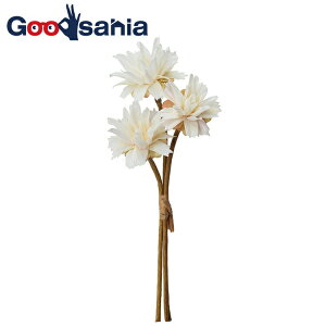 yz AXJ  ~jt[ o` N[zCg S29cm Ԍa6.5cm A-34393-011 1(3{g) i ԑ k t[AWg A   zCg j