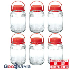 yz yP[X̔z mX؃KX y2023Nz ʎr ʎт 4L (5) { NA 4000ml I-71804-R-C-JAN 6 Ɩp (4bg ʎт )