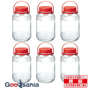 yz yP[X̔z mX؃KX y2023Nz ʎr ʎт 5L (7) { NA 5000ml I-71805-R-C-JAN 6 Ɩp (5bg ʎт )
