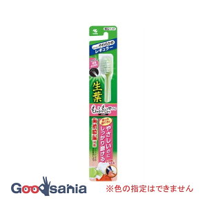 yz t ӂӖuV M[ 炩 1{ ( uV a )