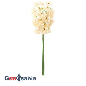 yz AXJ  XCgs[o` \tgCG[ S:43cmAԌa:3`5cm 1(3{g) A-34495-020 ( A {  t[AWg   )