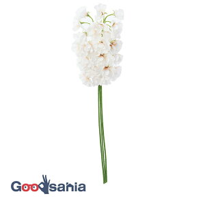 yz AXJ  XCgs[o` AC{[zCg S:43cmAԌa:3`5cm 1(3{g) A-34495-091W ( {  t[AWg   )