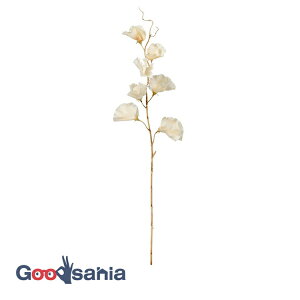 yz AXJ  XCgs[ AC{[ S:52cmAԌa:4`5cm A-34501-091 ( A {  hCt[ hC  OB  i )