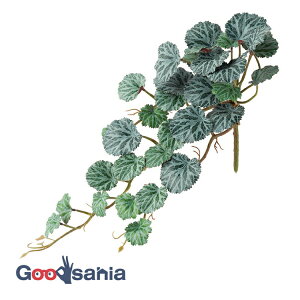 yz AXJ  xSjAnMOubV O[p[v S:55cmA:25cmAta:4`7cm A-44166-053P ( A { t tFCNO[ ϗtA )