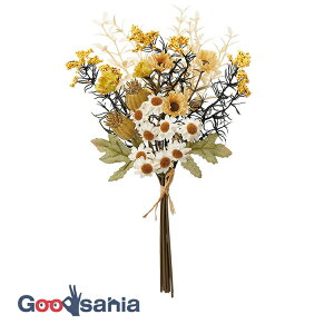 yz AXJ  ~bNXt[o` ~bNX S:27cmA:14cm A-34510-046 ( A {  hCt[ hC  OB  i )