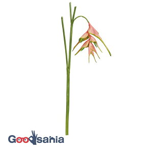 yz AXJ  wRjA sNO[ S:68cmAԌa:22×22cm A-34524-003G ( A {  t[AWg  OB  i )