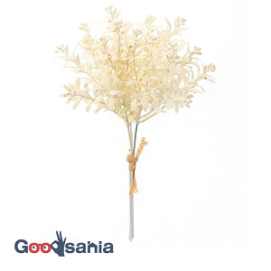 yz AXJ  ~j[to` N[zCg S:23cmA:16cm 1(3{g) A-44116-011 ( {  t[AWg  OB  )