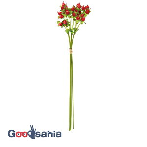 yz AXJ  qyJo` bh S:36cmA:1cm 1(3{g) A-47982-002 ( {  qyJ t[AWg   i )