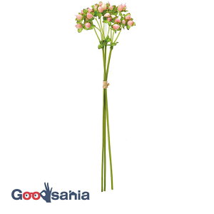 yz AXJ  qyJo` sN S:36cmA:1cm 1(3{g) A-47982-003 ( {  qyJ t[AWg   i )