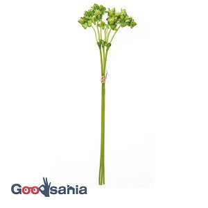 yz AXJ  qyJo` O[ S:36cmA:1cm 1(3{g) A-47982-051A ( A {  qyJ t[AWg  )