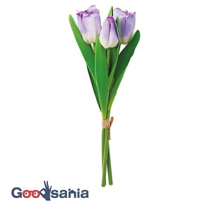 yz AXJ  `[bvo` p[v S:29cmAԌa:3×5cm 1(3{g) A-34513-007 ( A {  t[AWg  OB  )