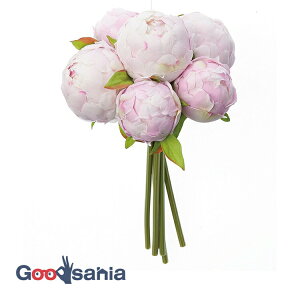 yz AXJ  sIj[u[P zCgx_[ S:30cmA:16cm A-34599-006W ( A {  t[AWg  OB  i )