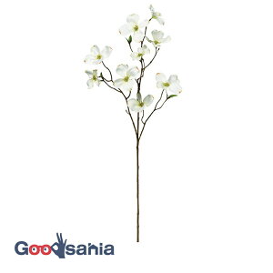 yz AXJ  hbOEbh zCg S:74cmAԌa:6.5`9.5cm A-34573-001 ( A {  t[AWg  OB  i )