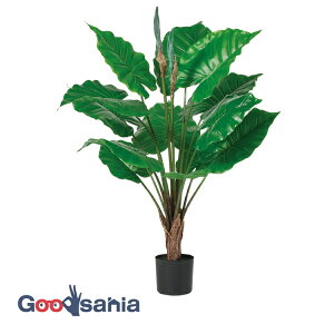 yz AXJ  AJVA (|bgt) O[ 93×71cmA|bg:13×11.5cm A-51069-051A ( A { t tFCNO[ ϗtA  )