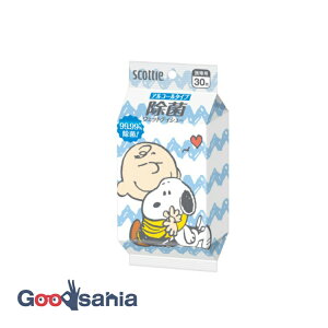 �y���������z �X�R�b�e�B �E�F�b�g�e�B�V���[ ���� �A���R�[���^�C�v �X�k�[�s�[ 30�� ( ���� �E�F�b�g�V�[�g �A���R�[�� )