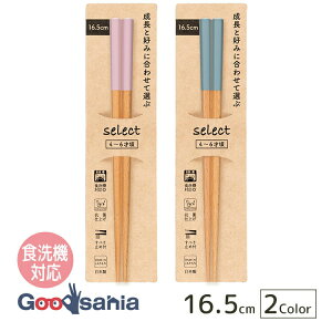 yz TCt  qǂp ZNg R HΉ { 16.5cm (   ͂ q w Zp ͂ qp qǂp qlp ct ۈ牀 ׂ~ )