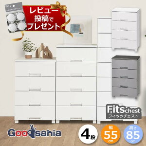 y r[Tt z Vn `FXg Fits tBbc`FXg 4i 55cm 55×41×85cm 5504 ( Fits[ tBbc ^X ߗގ[ [Ƌ o rt ߗ  )