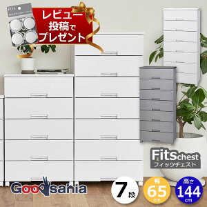 y r[Tt z Vn `FXg Fits tBbc`FXg 7i 65cm 65×41×144cm 6507 ( Fits[ tBbc ^X ߗގ[ [Ƌ o rt ߗ  )