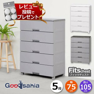 y r[Tt z Vn `FXg Fits tBbc`FXg 5i 75cm 75×41×105cm 7505 ( Fits[ tBbc ^X ߗގ[ [Ƌ o rt ߗ  )