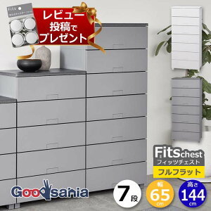 y r[Tt z Vn `FXg Fits tBbc`FXg ttbg 7i 65cm 65×41×144cm 6507 ( Fits[ tBbc ^X ߗގ[ [Ƌ o rt )