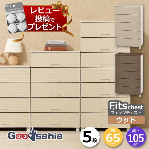 y r[Tt z Vn `FXg Fits tBbc`FXg Ebh 5i 65cm 65×41×105cm 6505 ( Fits[ tBbc ^X ߗގ[ [Ƌ o  )
