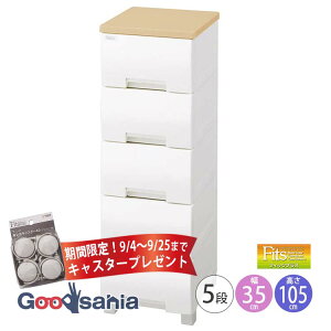 yԌI9/4`9/25܂ LX^[ v[gz Fits `FXg tBbcvX y 5i 35cm [v z s41×35×105cm F3505 Vn ( o [ rt )