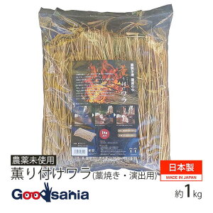 yz _  Ot (mĂEop) 40cm 1000g { 16808 ( ̘mĂ ̂ ₫ t ^^L o AEghA ؉ Lv BBQ )