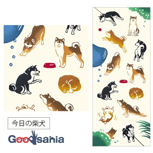 yz ~g^I(Miyamoto-towel) ʂ kenema 35×90cm { ̎Č 50281 ( @ `i y Rbg a 痿 vg miyamoto  {{  TENUGUI ^I )