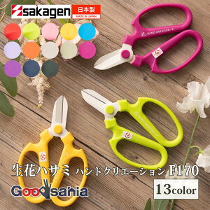 yz ⌹(Sakagen)  nhNG[V F170 tbfR[eBO 17×11cm