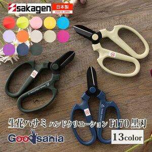 yz ⌹(Sakagen)  nhNG[V F170 tbfR[eBO 17×11cm