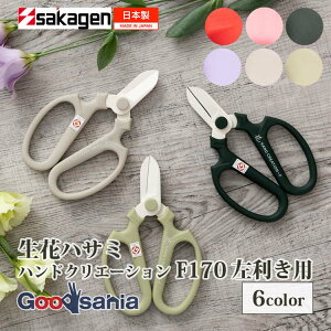 yz ⌹(Sakagen)  nhNG[V F170 p tbfR[eBO 17×11cm