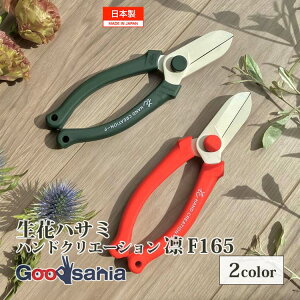 yz ⌹(Sakagen)  nhNG[V F165 z tbfR[eBO 16.5×5cm