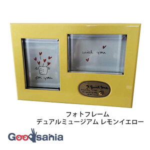 yz  tHgt[ fA~[WA IS[t 6×26×18cm { CG[ 23005 ( ʐ^ IS[ Ɩb fBYj[ v ܂ fB 
