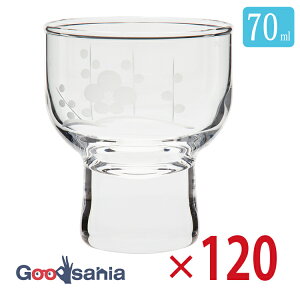 yz yP[X̔z mX؃KX OX ؎qt ~؎q { 70ml 00301-76 120 Ɩp ( KX Rbv  n̓ N    )