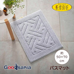 yz IJ oX}bg xǍDbJ 50×70cm OC ӂ}bg 􂦂  RۏL Vv ӂӂ 炳 VbN ( z R hL JhERE ې  