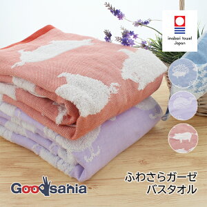 yz gbvt@Ng[ ӂ킳K[[oX^I ( ^I K[[  ^I K[[^I 100 킢   Aj} )