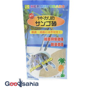 yz OW IJhJ TS 800g ( 580 IJhJ hJ IJhJp  ~ TS ׂ Gۗ} EL p TR[ )