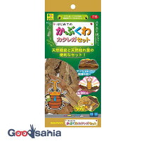 楽天市場】カブトムシ クワガタ 福袋の通販