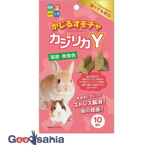 yz nCybg JWJY 10 ( 邨 JWJ Y^  bg  )