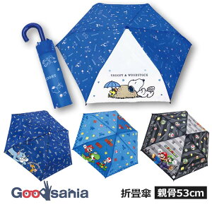 yz WFCYvjO ܏P e53cm ( ܂ݎP ܏ ܂肽 P  JP 53Z` RpNg g LN^[ LbY q )