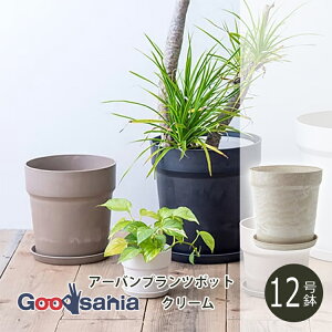 yzPOSH LIVING Aؔ A[ovc|bg 12 N[ 81155 ( |bVrO A  vc|bg O[|bg |bg 12 \bh y vX`bN A O
