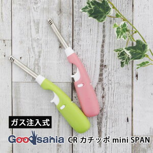 【送料無料】 TTS 点火棒 新カチッポミニスパン 握りやすい 注入式 手が小さい人でもピッタリ ロック付き 約5.8×2.4×23.7cm グリーン/ピンク(いずれか1個) ( 花火用 線香用 着火ライター 握りや